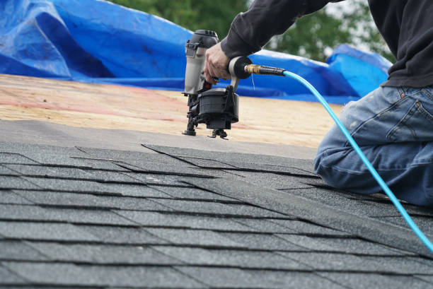 Best Asphalt Shingle Roofing  in Hamburg, IA